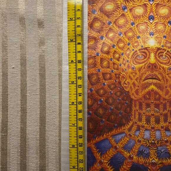 ALEX GREY OVERSOUL PRINT #160/200 SIGNED (taking offers) - Picture 6 of 13